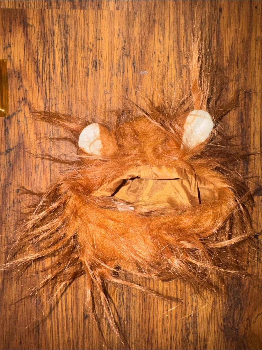 Halloween - Cat Lion Mane (s/m) 39.T